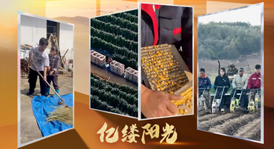 億縷陽(yáng)光·鄉(xiāng)見(jiàn)|農(nóng)活也能如此簡(jiǎn)單
